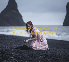 中苗会乌桕“十大美树”投票，有了你眼里的美树吗？