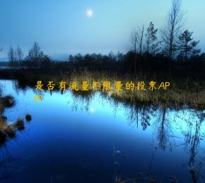 是否有流量不限量的投票APP?
