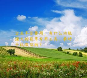企业年会要用，有什么功能强大的投票专用工具，最好手机微信的？