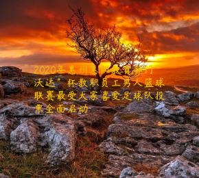 2020年惠州惠阳教育部门＂沃达＂杯教职员工男人篮球联赛最受大家喜爱足球队投票全面启动