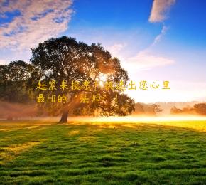 赶紧来投票！挑选出您心里最HI的“法师”！