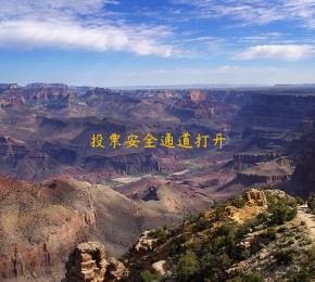 投票安全通道打开