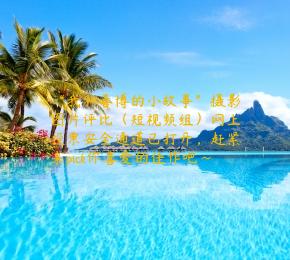 “我和善博的小故事”摄影图片评比（短视频组）网上投票安全通道已打开，赶紧来pick你喜爱的佳作吧~