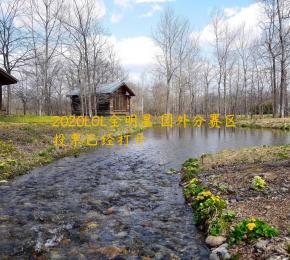 2020LOL全明星 国外分赛区投票已经打开