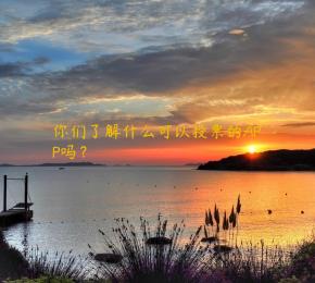 你们了解什么可以投票的APP吗？