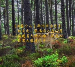 【@每个人】漳州市汤日丰、林文元、蔡福添入选12月“福建省大好人榜”侯选人，投票火爆进行中~~~