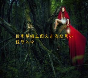 投票帮网上图文并茂投票小程序入口