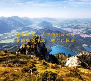 速来投票！这种特别设计方案的雕塑作品，哪个比较好？你去挑