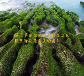 娱乐节目里说白了的观众们投票阶段是真正的吗？