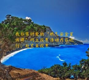 我非常钟爱的“燃气安全宣传牌”网上投票活动内容运行，赶紧来投票