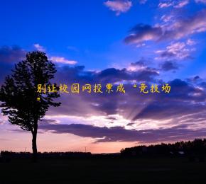 别让校园网投票成“竞技场”