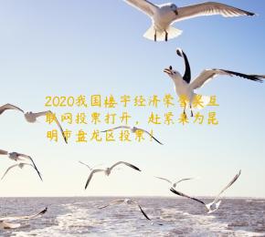 2020我国楼宇经济荣誉奖互联网投票打开，赶紧来为昆明市盘龙区投票！