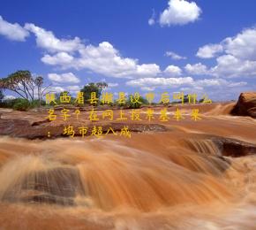 陕西眉县撤县设市后叫什么名字？在网上投票基本結果：郿坞市超八成