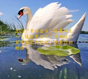 2020“幸福生活”比赛线上人气值投票打开！崇明这7家幸福室内空间，想要你的助推~