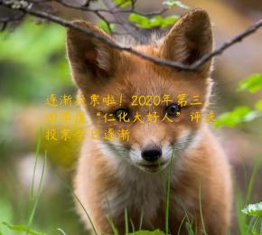 逐渐投票啦！2020年第三、四季度“仁化大好人”评选投票今日逐渐