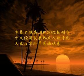 中集产城禹洲杯2020扬州市十大经济发展热点人物评比大家投票环节圆满结束