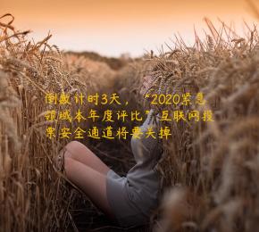 倒数计时3天，“2020紧急领域本年度评比”互联网投票安全通道将要关掉