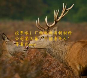 投票啦！广西北部湾新材料公司第三届“十佳青年人”等着你pick!