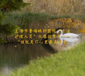 上海市普瑞眼科医院“十佳护理人员”火爆投票中—— “谁就是你心里最美护士”