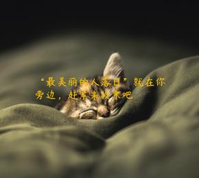 “最美丽的人落日”就在你旁边，赶紧来投票吧