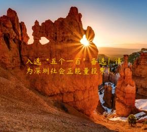 入选“五个一百”备选！请为深圳社会正能量投票！