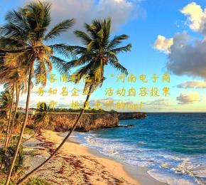 顾客请到位！“河南电子商务知名企业”活动内容投票打开，挑选出你的top1