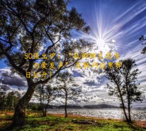 50强出炉！“抵御肺炎疫情·为爱发声” 互联网投票即日打开！
