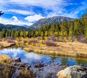 【投票】庐江县白湖镇农产品包装设计比赛”作品展览与投票逐渐啦！