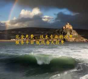 完全免费、技术专业的投票服务平台 就找每天投票