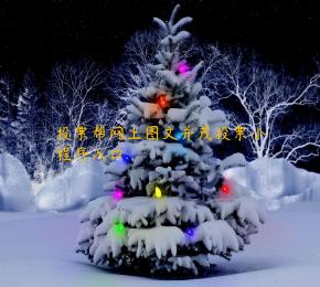 投票帮网上图文并茂投票小程序入口
