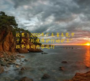 投票｜2020年广东省东莞市十大“环境保护行动护卫”推举活动内容运行