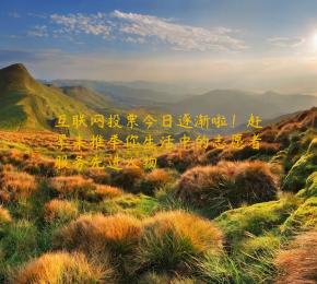 互联网投票今日逐渐啦！赶紧来推举你生活中的志愿者服务先进人物