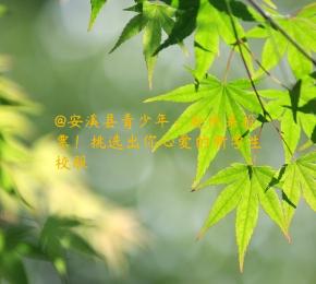 @安溪县青少年：赶快来投票！挑选出你心爱的新学生校服