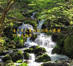 青少年儿童科技创新大赛邀约您来投票了