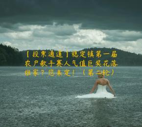 【投票通道】稳定镇第一届农户歌手赛人气值巨奖花落谁家？您来定！（第二轮）