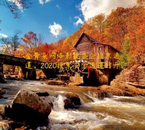 金骨朵网络影视盛会投票通道，2020投票安全通道打开！