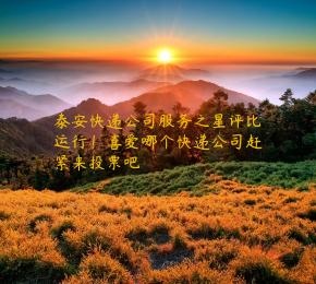 泰安快递公司服务之星评比运行！喜爱哪个快递公司赶紧来投票吧